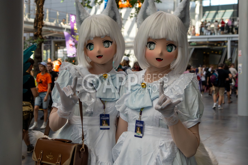 Pyrkon 2025