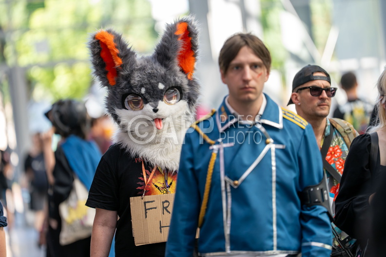 Pyrkon 2025
