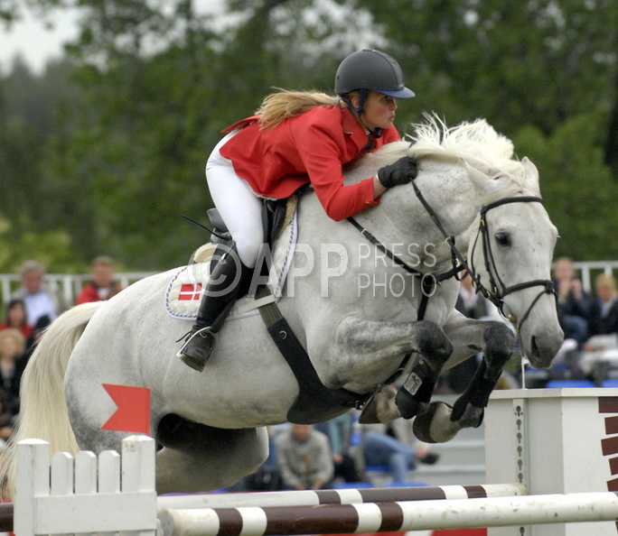sire_060609_023.jpg