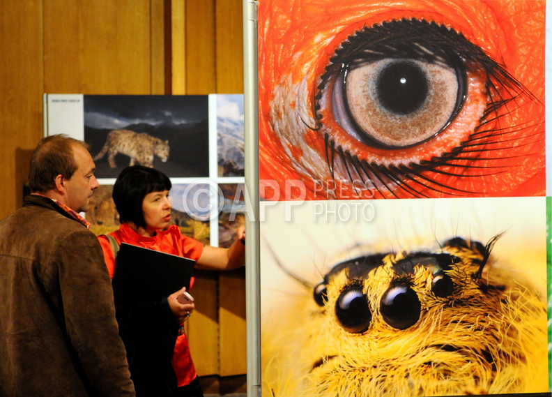 Polska premiera World Press Photo