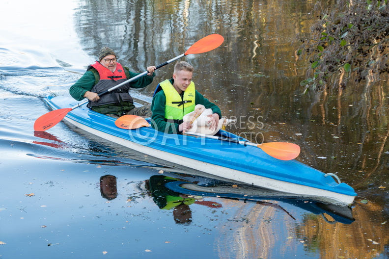 Poznan Akcja Pelikan w Nowym ZOO