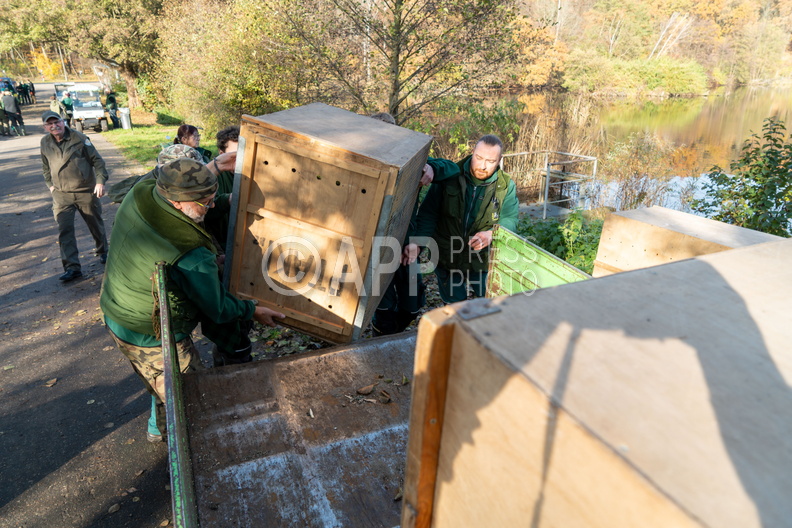 Poznan Akcja Pelikan w Nowym ZOO