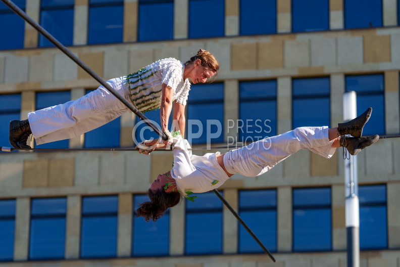 Epifity podczas Malta Festival 2026