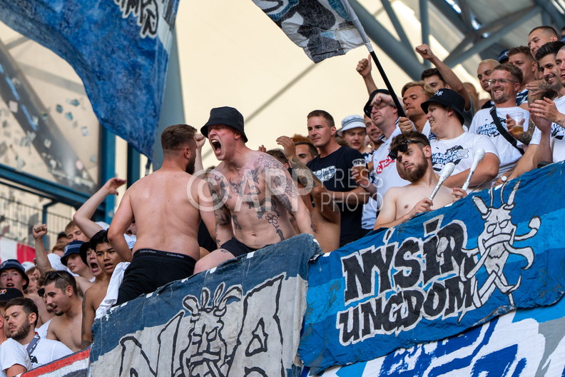 Kibice Lecha Poznan podczas meczu z AGF Aarhus