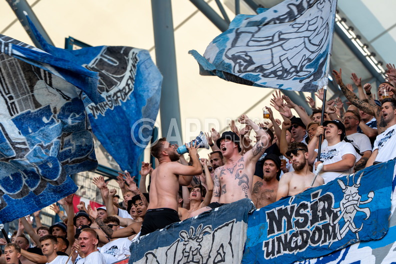Kibice Lecha Poznan podczas meczu z AGF Aarhus